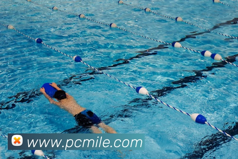 米乐m6APP 封面图